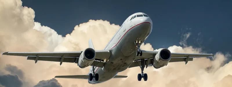 Белавиа запускает новый рейс из областного центра
