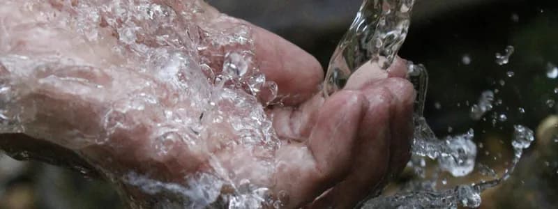 Скоро вода в Минске станет чище 