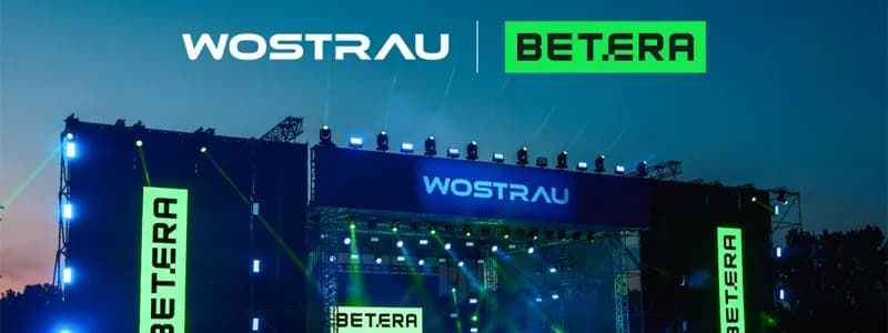 Стритбол, DJ-сеты, Tesla Cybertruck: что готовит Betera на Wostrau Nesvizh Fest?