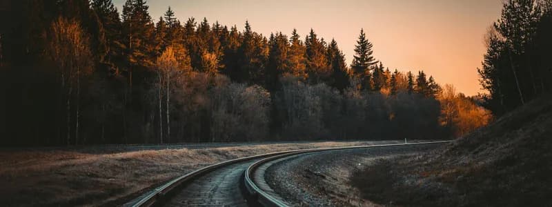 В Беларуси три области ввели сбор за пересечение границы