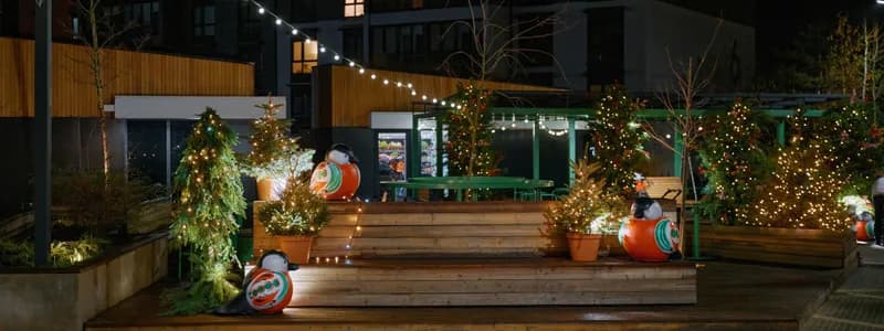 Под Минском 6 декабря встретят Hygge Christmas со сказочным паровозом, гномами и живым сычом