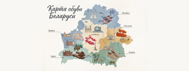 В Минске — босоножки, в Могилеве — кроссовки. Megatop представил первую обувную карту Беларуси