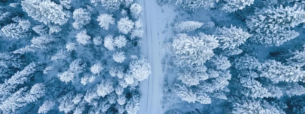 Морозные ночи до -29°C: когда в Беларуси ударят арктические холода и побьют зимние рекорды?