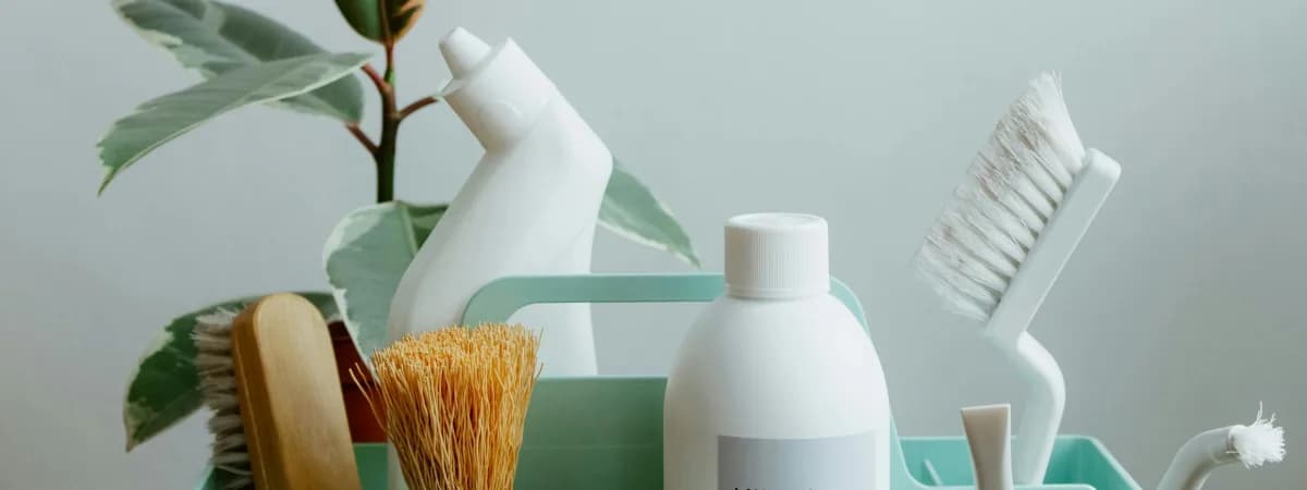 Остров Чистоты и Вкуса возобновляет работу