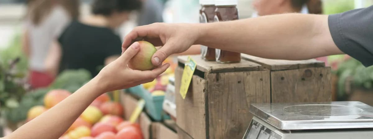 В Экспобел открылся новый оптовый рынок овощей и фруктов