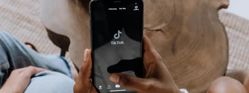 TikTok вернулся в США спустя 12 часов блокировки