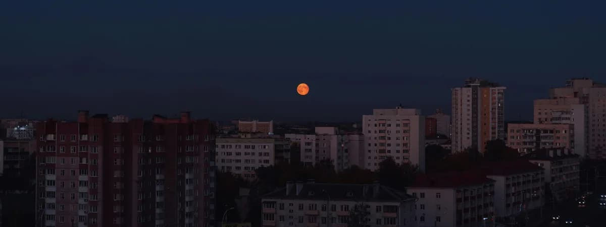Час Земли в Беларуси: как и когда пройдет