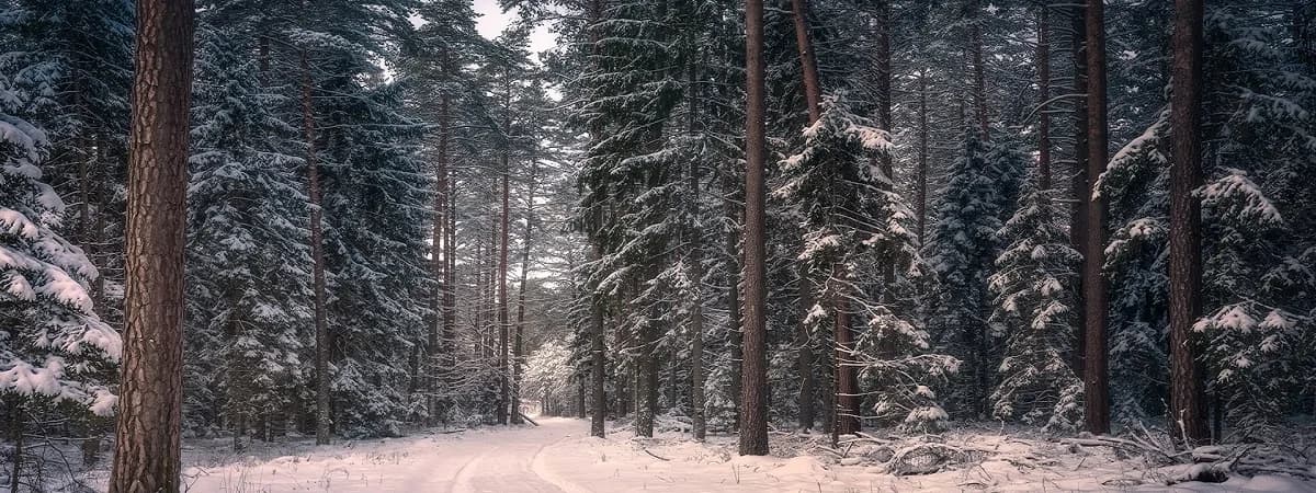 Усадьбы и комплексы для зимних выходных