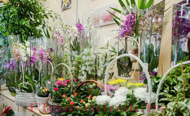 Салон цветов «La Fleur (Ля Флер)»