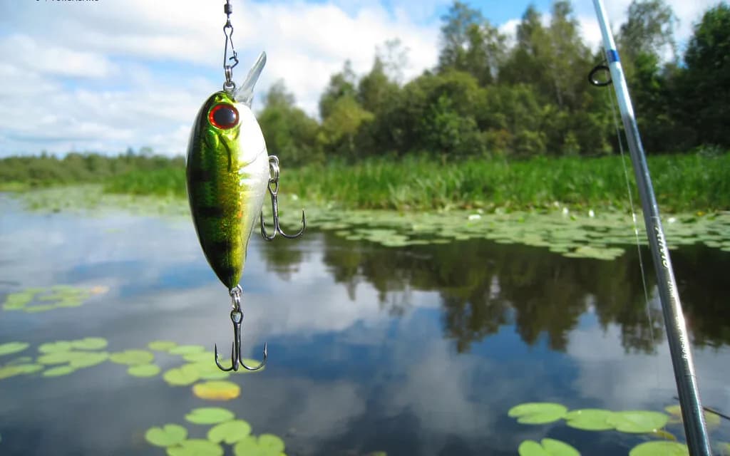Магазин рыболовных товаров «NewFish (НьюФиш)» — фото 2