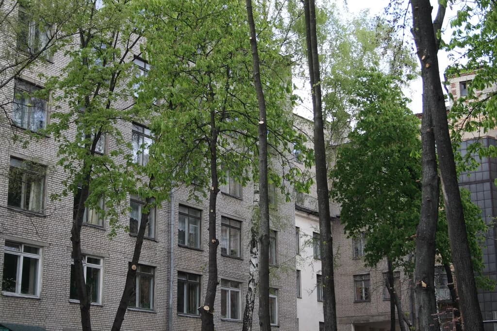 Республиканская гимназия-колледж при Белорусской государственной академии музыки — фото 5
