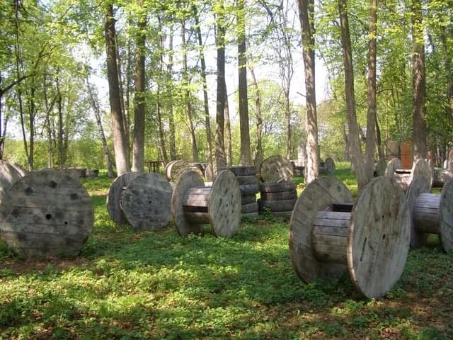 Черная пантера — фото 4