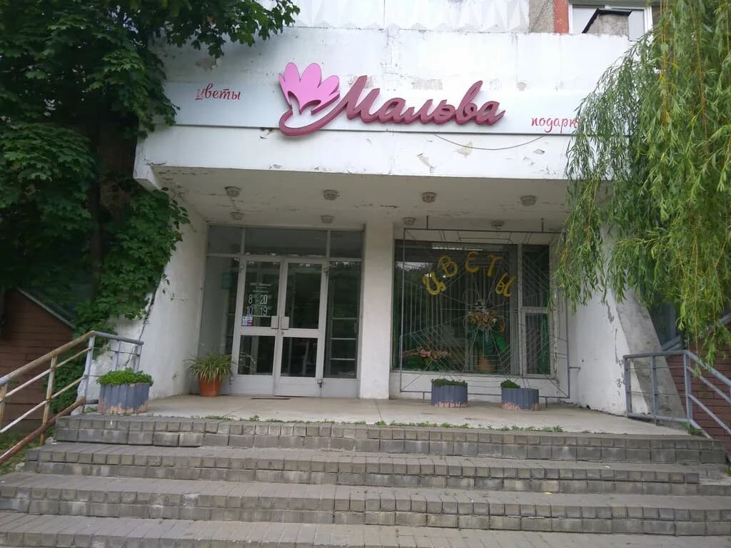Мальва