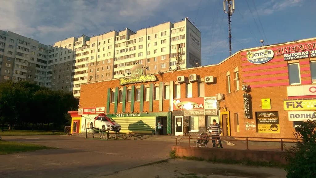 Золотой арбуз — фото 5