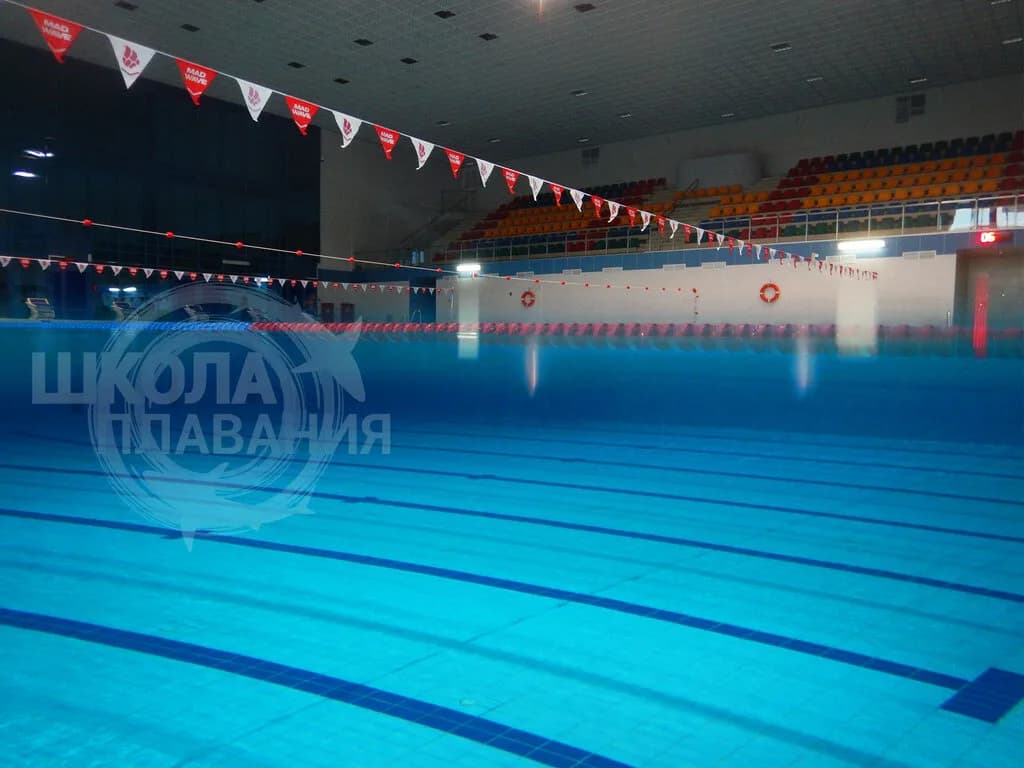 MySwimming