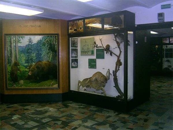 Государственный музей природы и экологии Республики Беларусь — фото 2