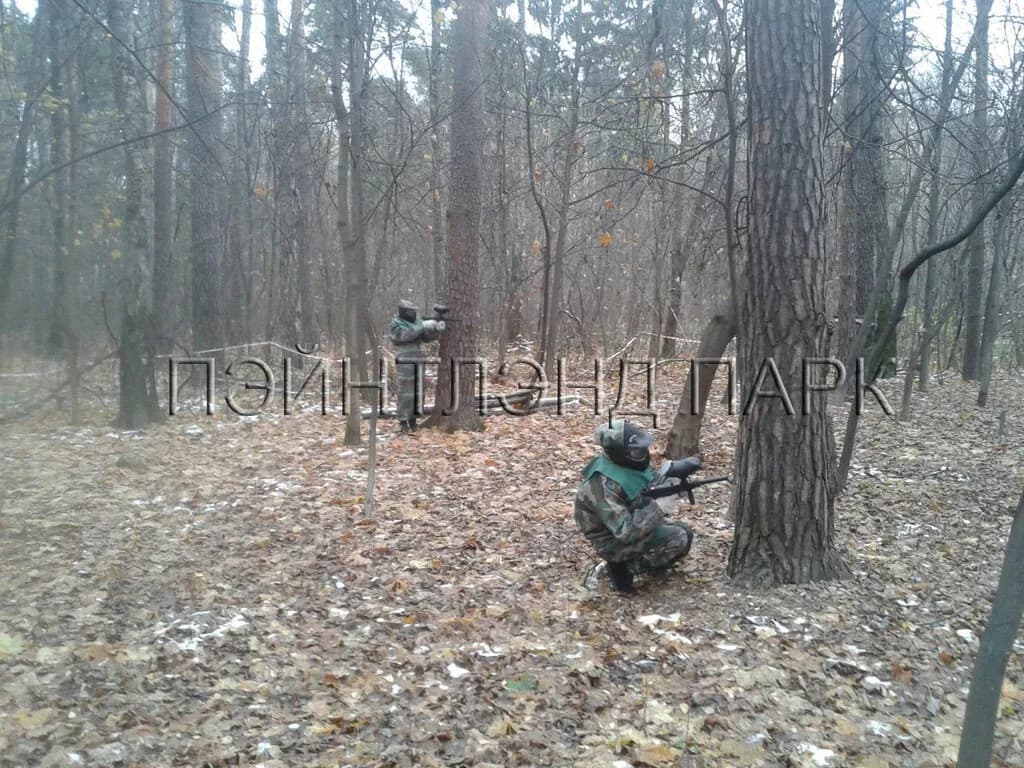 Пэйнтлэнд Парк — фото 4