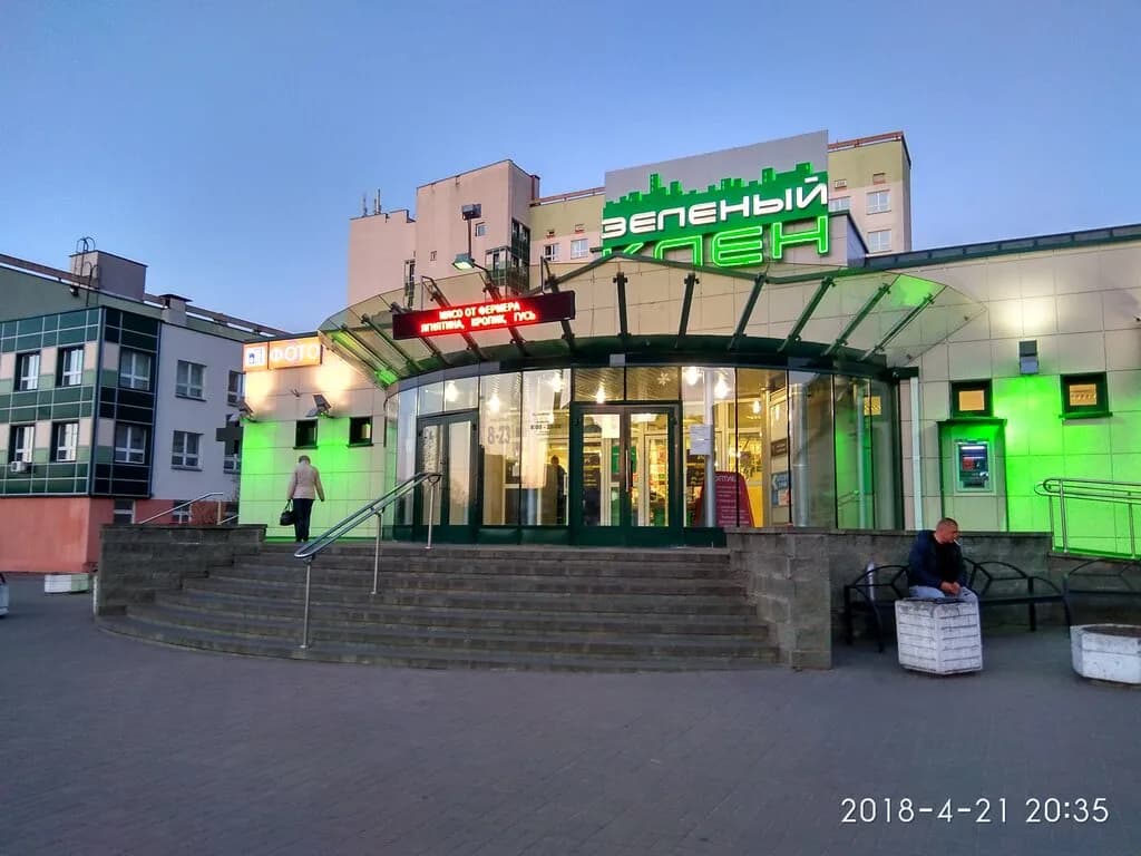 Зеленый клен — фото 4