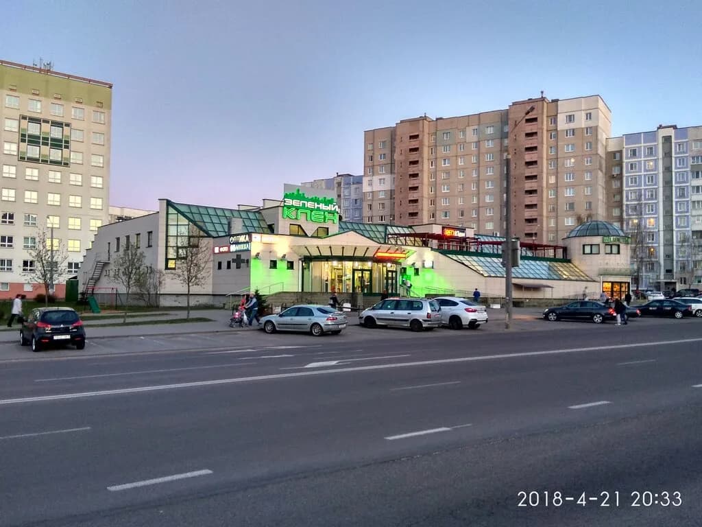 Зеленый клен — фото 2