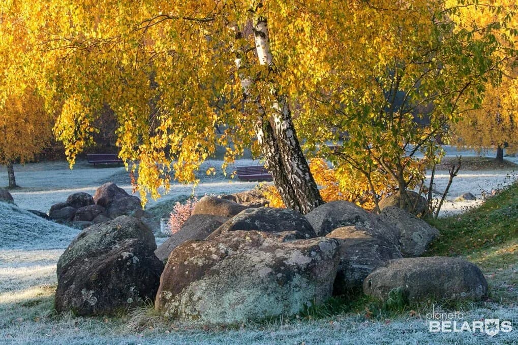 Парк «Музей валунов» — фото 2
