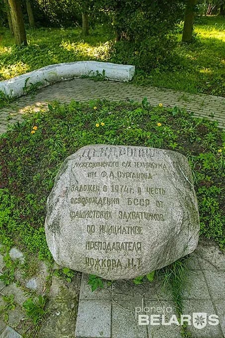 Бывшая земледельческая школа — фото 4