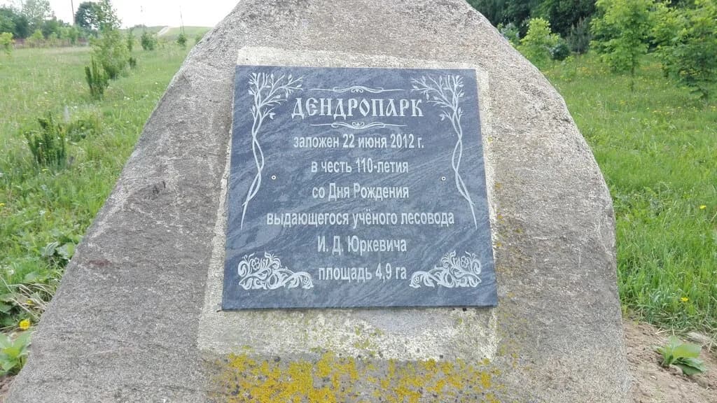 Дендропарк — фото 2