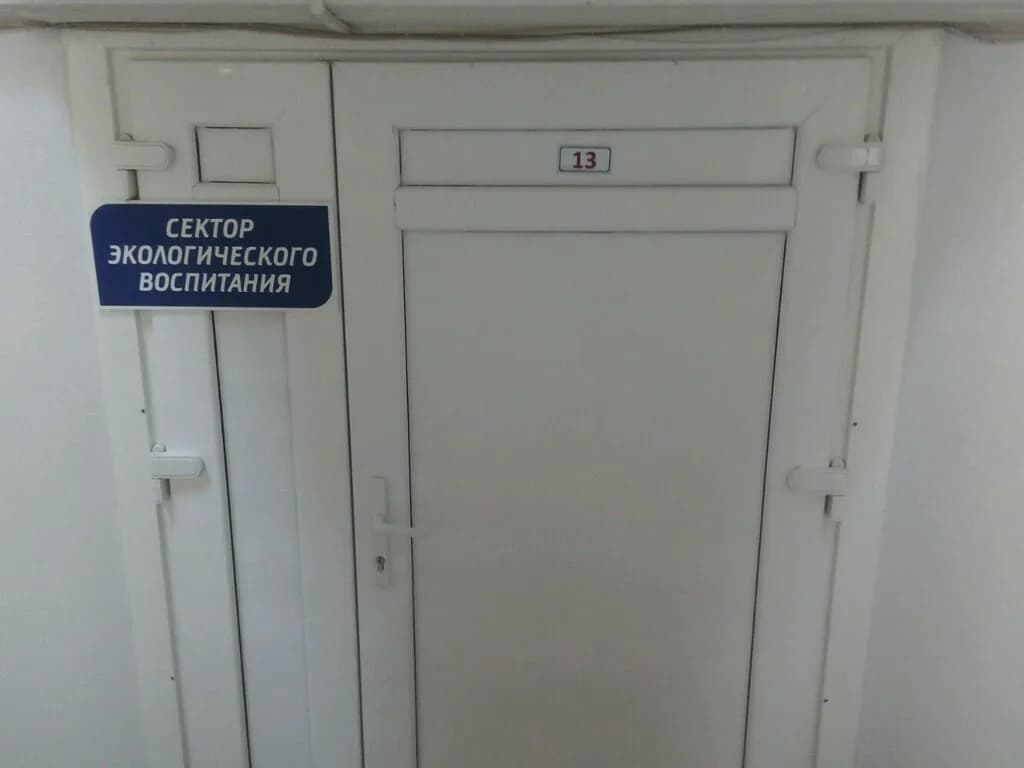 Английский язык — фото 3