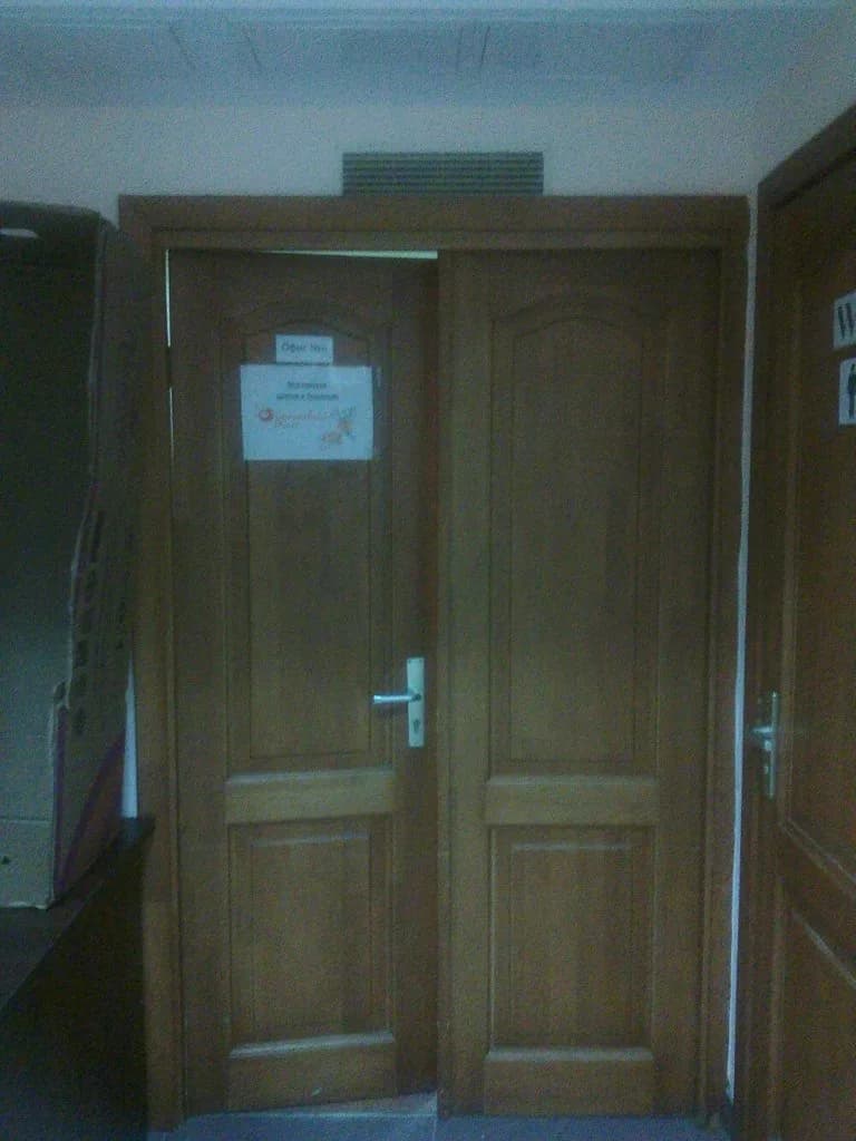 Оранжевый кот — фото 6
