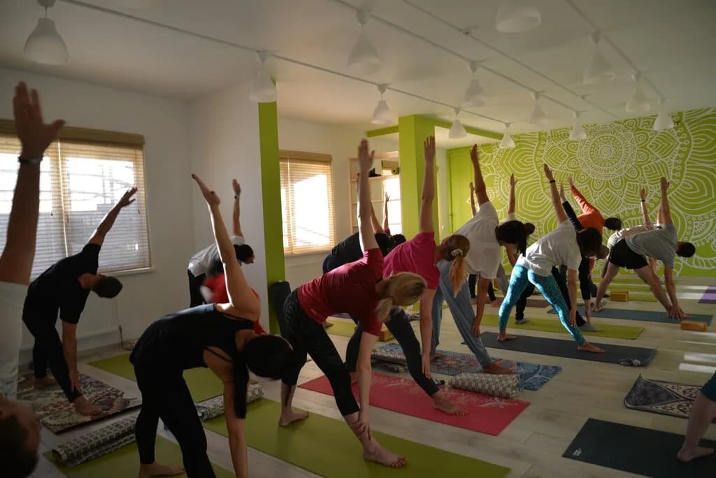 Йога студия «Yogibogi (Йогибоги)»