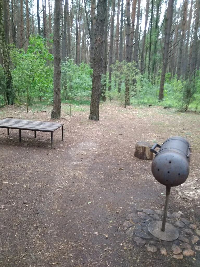 ForRest