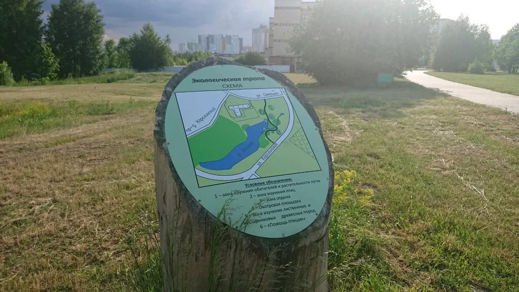 Экологическая тропа — фото 2