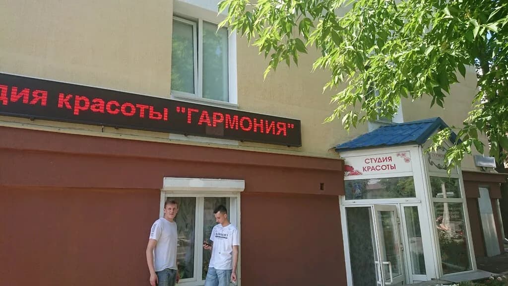 Гармония