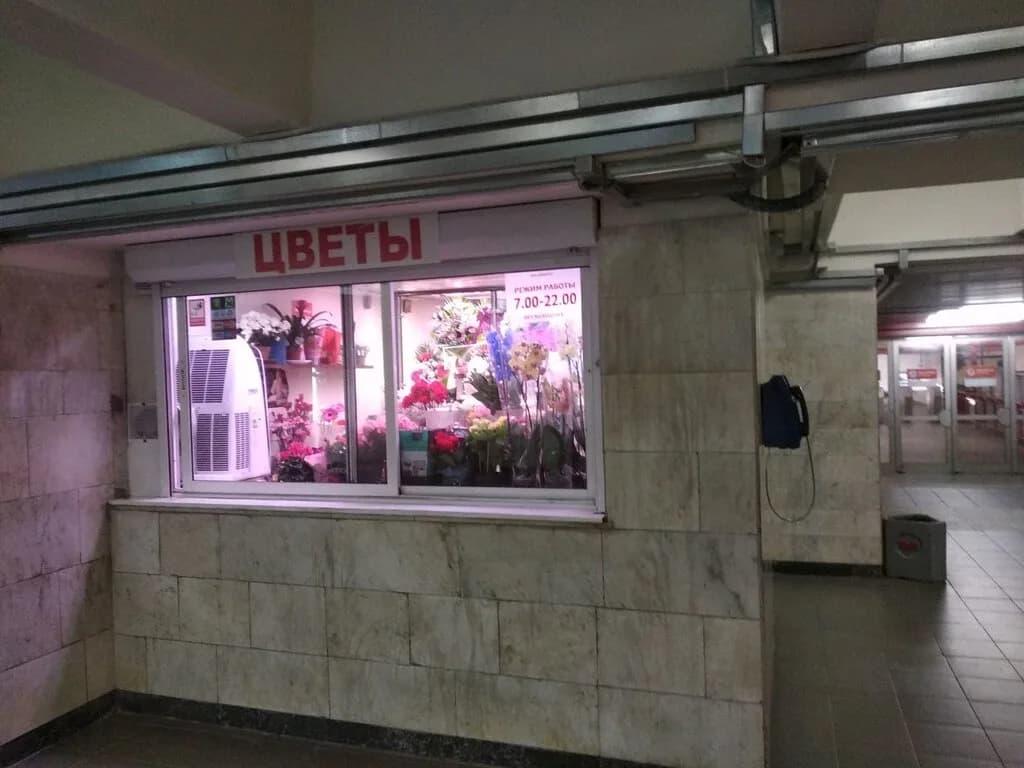 Тропикана — фото 3