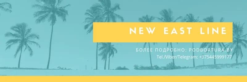 Нью Ист Лайн