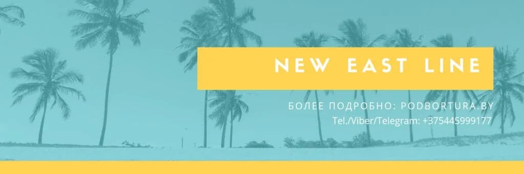 Нью Ист Лайн