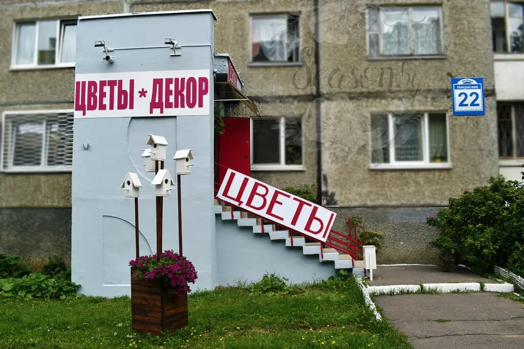 Сезон — фото 5