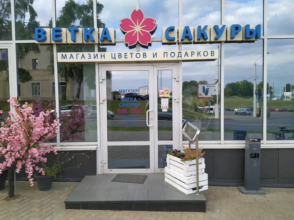 Ветка сакуры — фото 3
