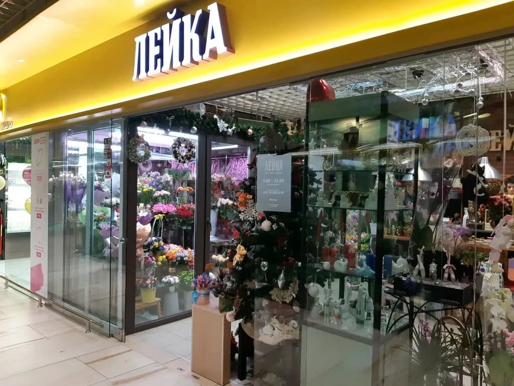 Лейка — фото 2