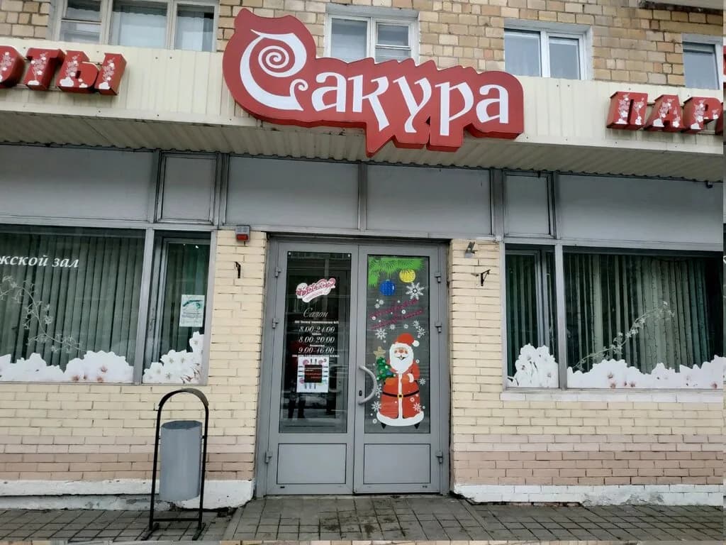 Сакура — фото 4