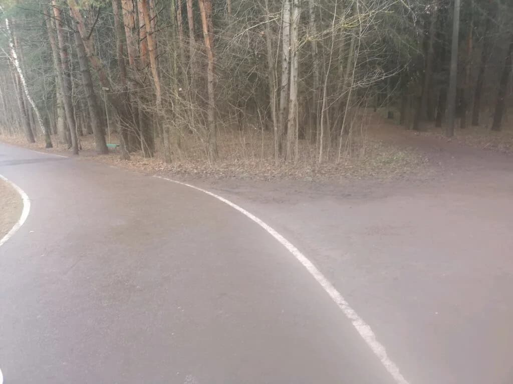 Лыжная трасса — фото 5