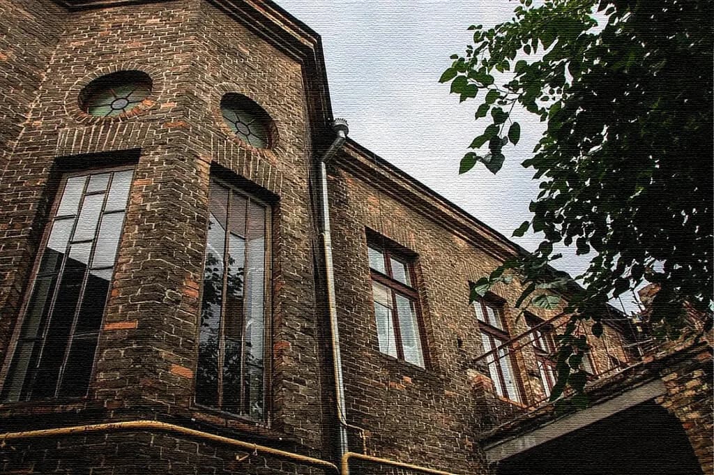 Двор дома врача Арье Бегуна — фото 6
