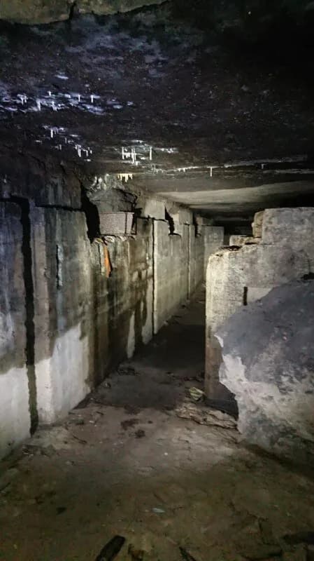 Форт литеры З — фото 2