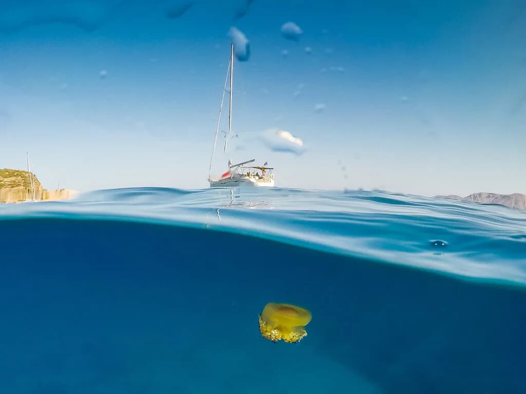 Relax Yachting