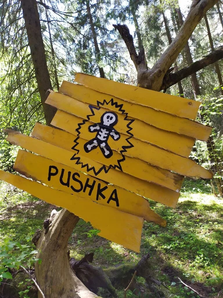 Пушка — фото 3