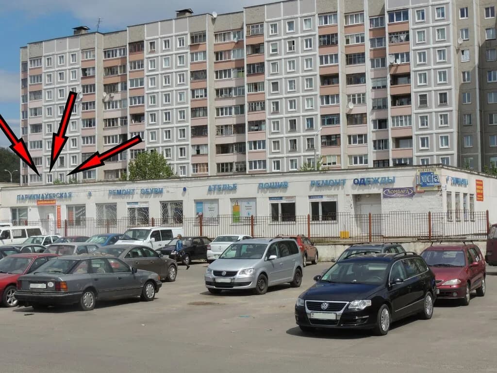 Элеонора и К — фото 3