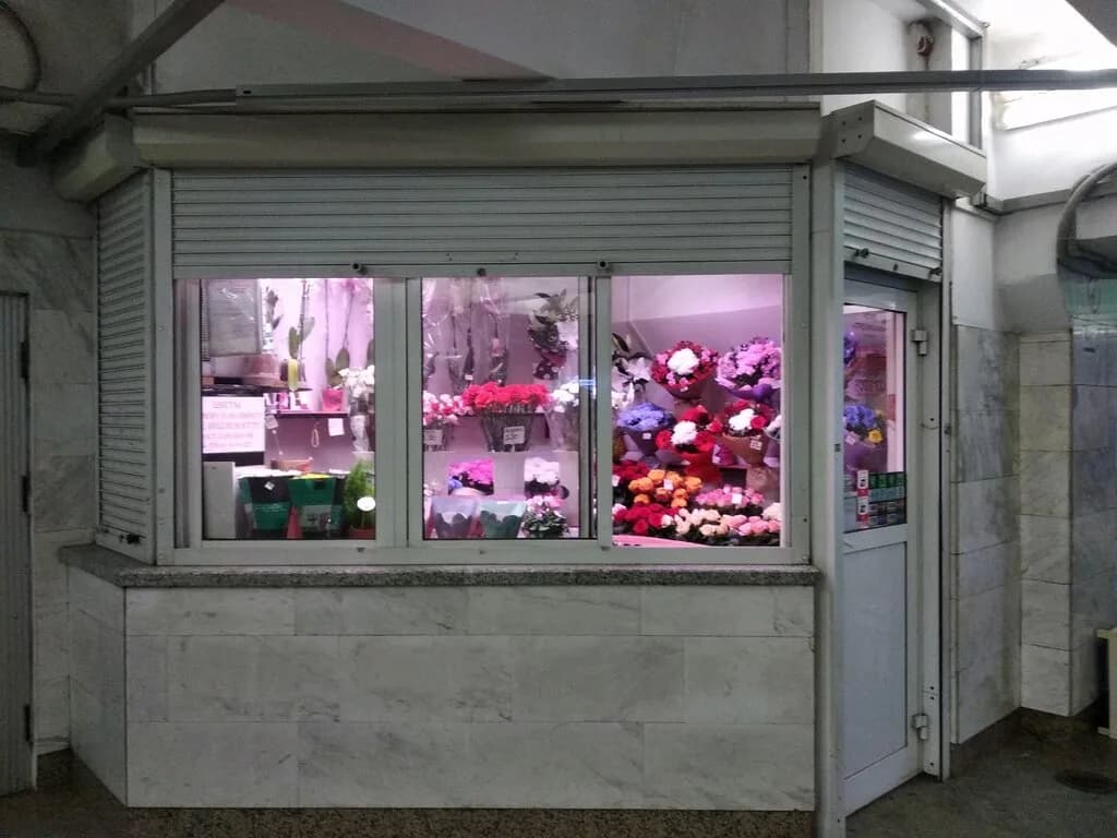 Тропикана