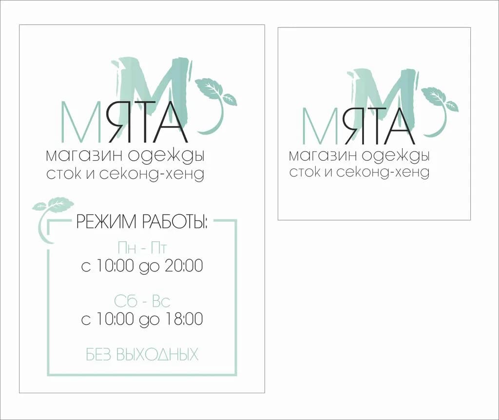 Мята сток