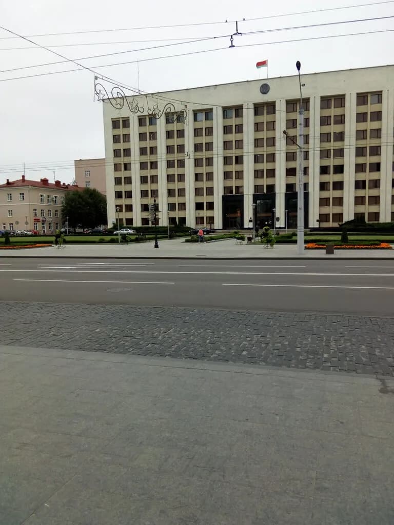 Дрэва сяброўства — фото 2