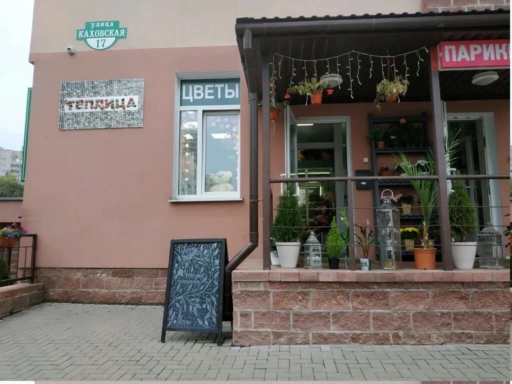 Теплица — фото 2