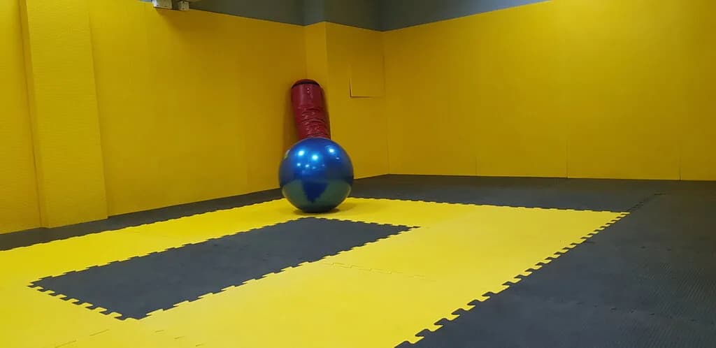 Fight for fitness